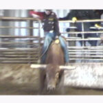 DVC00009 - Copy