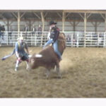 DVC00010 - Copy - Copy