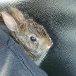 IMG_20240522_183629