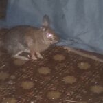 IMG_20250827_211313