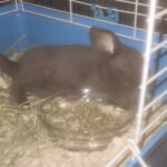 IMG_20251005_004215
