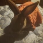 IMG_20251013_192130