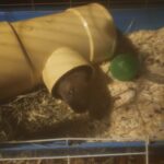 IMG_20251020_204159