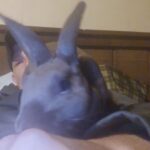 IMG_20251120_192854