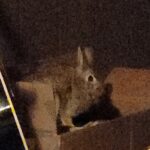 IMG_20260124_230550_1769314579119