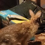 IMG_20260124_231501